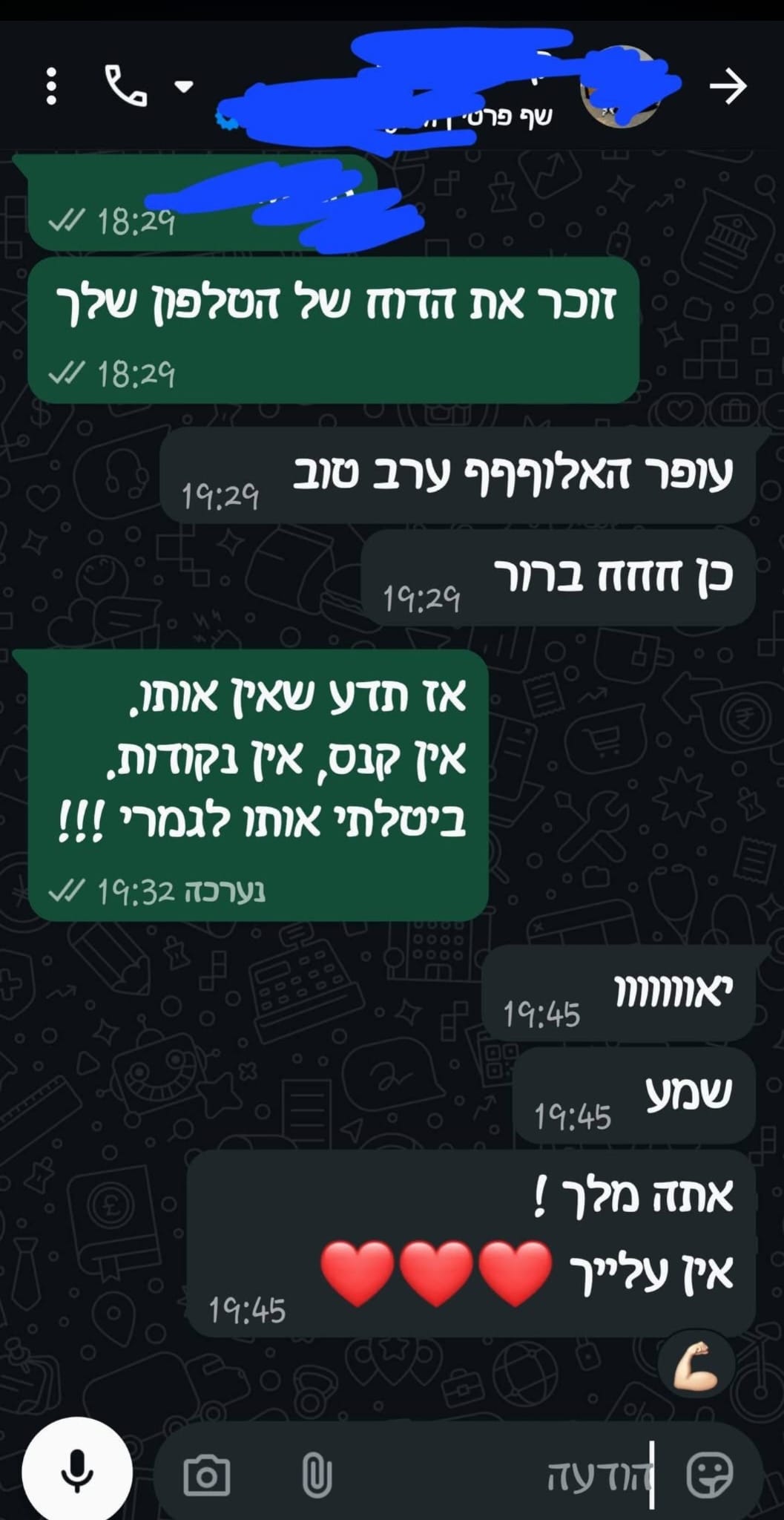 צילום שיחת WhatsApp: אתה מלך, אין עליך