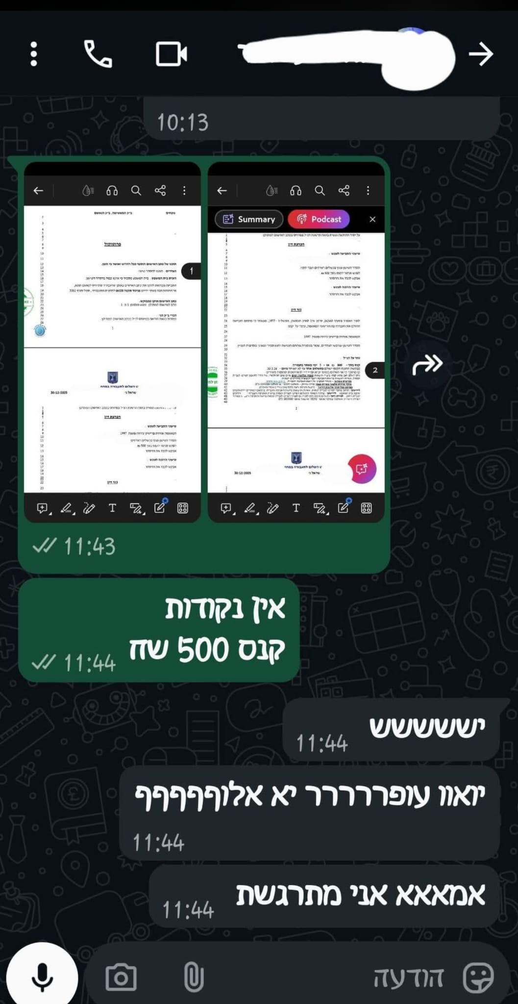 צילום שיחת WhatsApp: יש, אני מתרגשת
